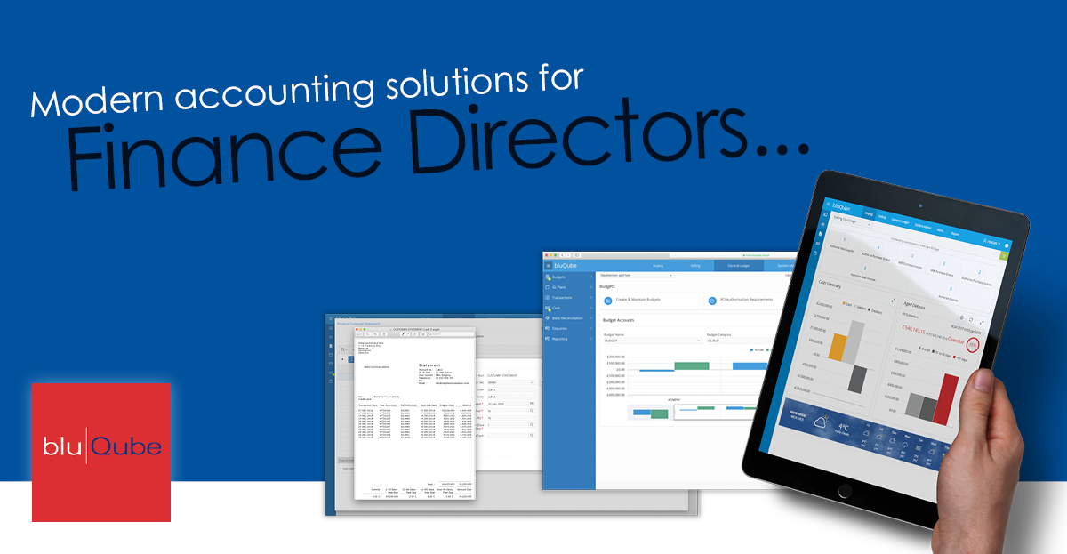 BluQube For Finance Directors